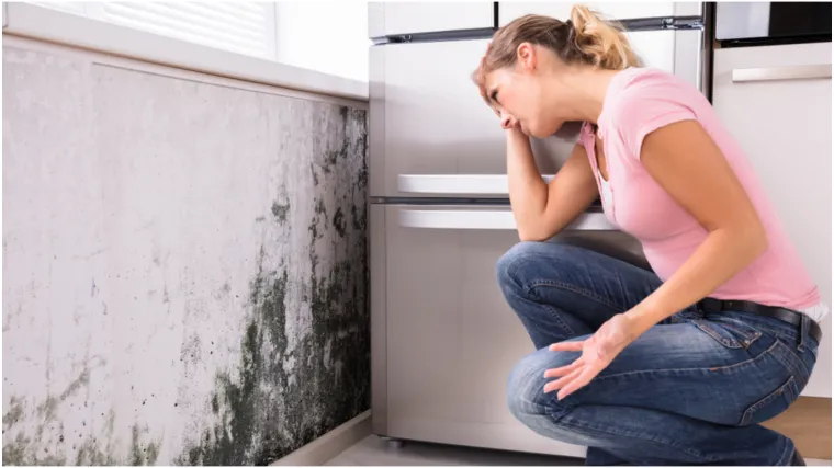 Jesenske navike koje potiču rast plijesni: Stručnjak upozorava na najčešće pogreške