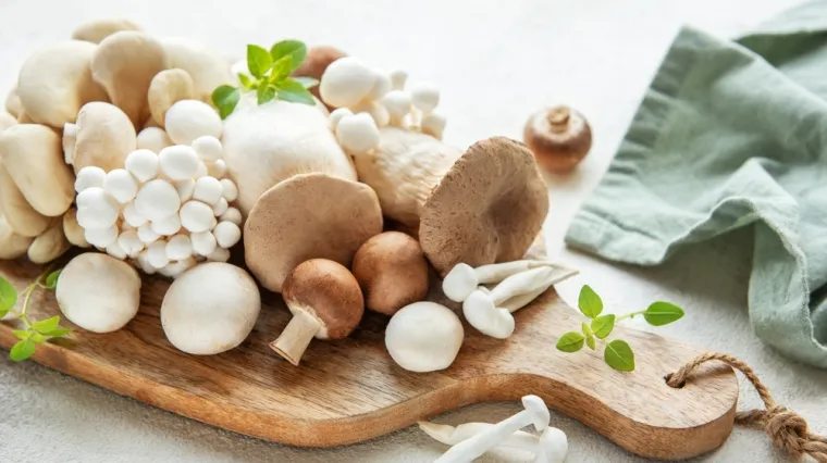 [KVIZ] Jesi li pravi poznavatelj gljiva?