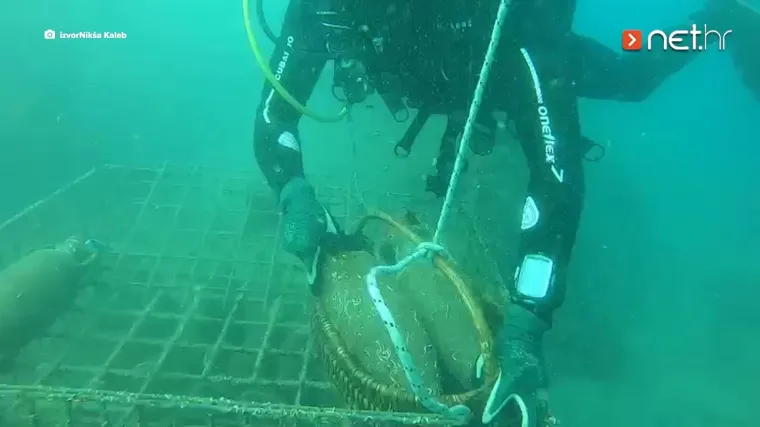 Slavni Nikša Kaleb roni amfore s vinom. Ovo morate vidjeti