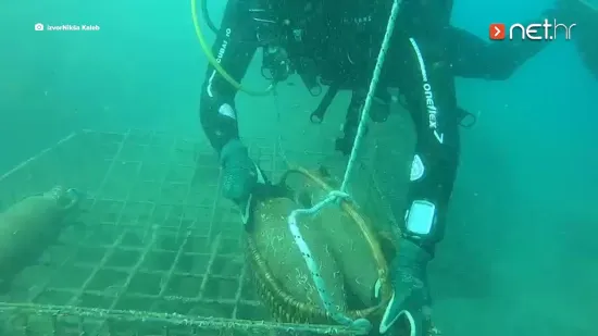 Ljudi, ovo je neviđeno! Pogledajte što slavni zlatni olimpijac radi pod morem