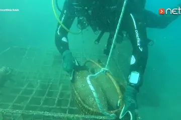 Ljudi, ovo je neviđeno! Pogledajte što slavni zlatni olimpijac radi pod morem