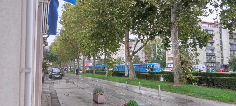 Ljudi pogubili živce zbog zastoja tramvaja na Držićevoj! Psovali ZET, vozače pa i Toma&scaron;evića