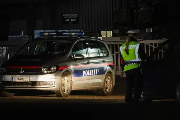 Srbin ubio ženu, teško ranio kćer pa presudio sebi: 'Čuo sam sedam hitaca'