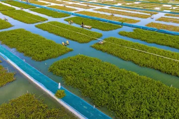 Neobični rak prava je poslastica: Postao je simbol ekološke i tehnološke revolucije