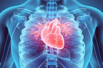 [KVIZ] Koliko znaš o ljudskom srcu?