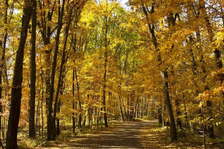 Prvi dan jeseni prema numerologiji donosi nove prilike: Posebnu će sreću imati ovi datumi rođenja
