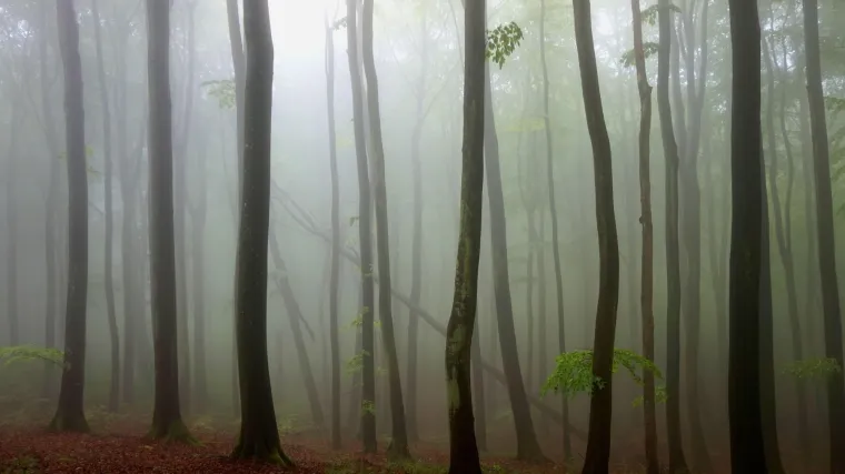 Jesen je navodno doba kada duhovi lutaju: Pomoću ovih rituala otjerajte svo zlo iz vašeg doma