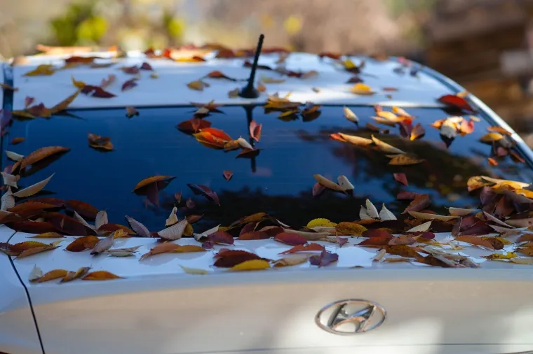 Vozači trebaju napraviti ovu dvominutnu provjeru najesen: Spriječite ozbiljne posljedice