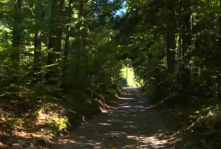 Svi se pomamili za ovim dijelom Hrvatske: Ljepota, wellness, mir i tišina već za 75 eura