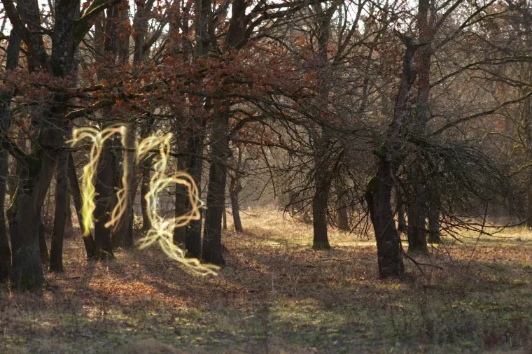 Venera je u Djevici, a ovi znakovi suočavaju se s promjenama: Dok jedni blistaju, drugi su u problemu