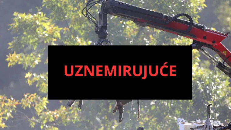 Galerija užasa: Opaka bolest uzela maha, prizori lešina su uznemirujući