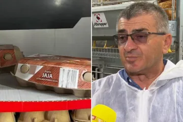 Profesor otkrio zašto nedostaje jaja u nekim dućanima: 'Evo što će biti za Božić'