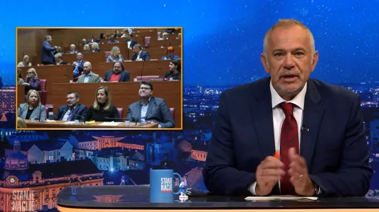 Šprajc očitao lekciju saborskoj ljevici: 'Ili je ZDS ustaški pozdrav ili nije. I bok'