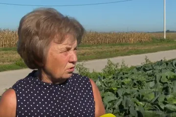 Peta generacija čuva tradiciju varaždinskog zelja: 'Vidovčanci su bili poznati po zelju još u Jugolslaviji'