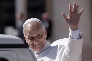 Lav kao avatar: Ponudili mu da stvore 'AI papu', ali je odbio. Evo i zašto