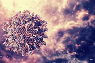 Virus brine Hrvatsku: 'Ako dođe do ovoga, imamo ozbiljan problem'