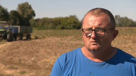 Najcrnji scenarij za svinjogojce: 'Ako se virus nastavi širiti, bit ćemo u velikim problemima'