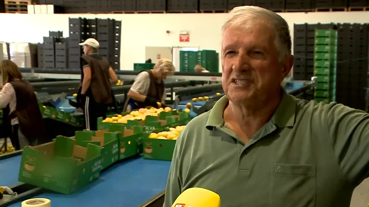 Gorka borba za opstanak hrvatskih poljoprivrednika u dolini Neretve: 'Sramotno!'