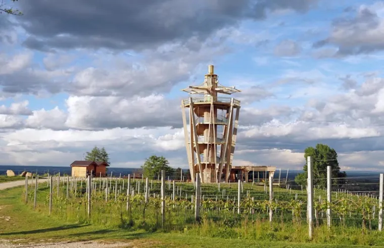 Wine&amp;Walk 2025: Ne propustite vinsku avanturu uz koju ćete zapjevati