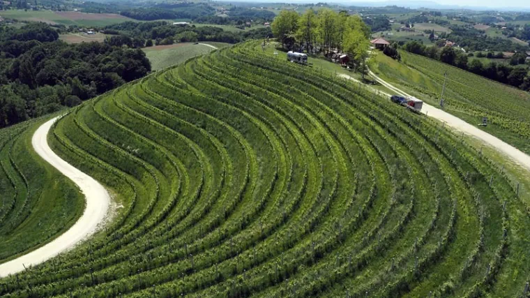 Wine&amp;Walk 2025: Ne propustite vinsku avanturu uz koju ćete zapjevati