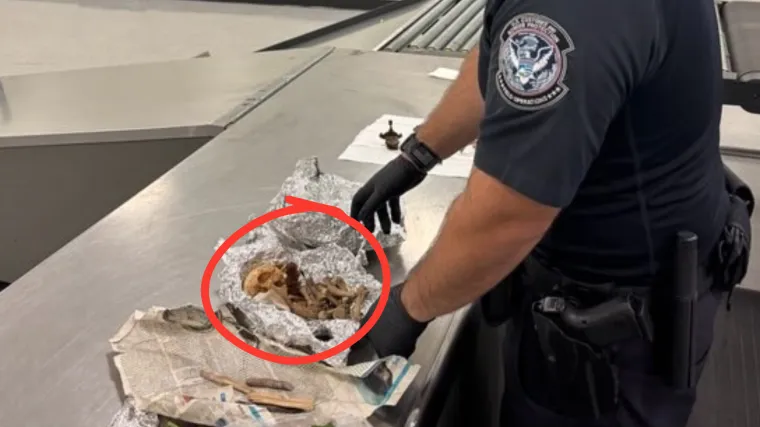 Horor u prtljagi na aerodromu! Rutinskom kontrolom našli lubanju i kosti...