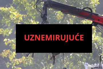 Što ubijanje 12.000 svinja znači za Hrvatsku? Stručnjak: 'Vrijeme je za vojsku i žandare na cesti'