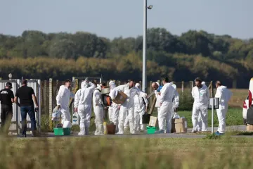 Ministar Vlajčić proglasio rat afričkoj svinjskoj kugi: 'Ništa više neće biti kao prije'