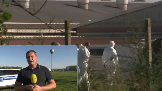 Virus je tu i nekontrolirano se širi, proglašen je rat protiv svinjske kuge: 'Ljudi, pridržavajte se mjera'