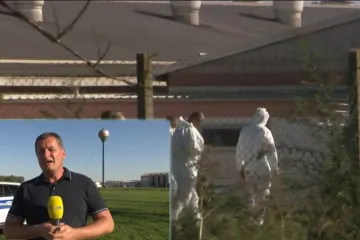 Virus je tu i nekontrolirano se širi, proglašen je rat protiv svinjske kuge: 'Ljudi, pridržavajte se mjera'