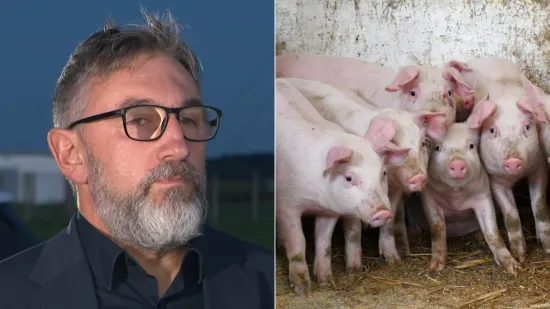 Stručnjak otkrio zašto je virus koji hara Slavonijom opasan: 'Umire se u velikim mukama'