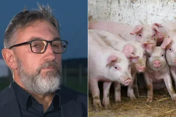 Stručnjak otkrio zašto je virus koji hara Slavonijom opasan: 'Umire se u velikim mukama'