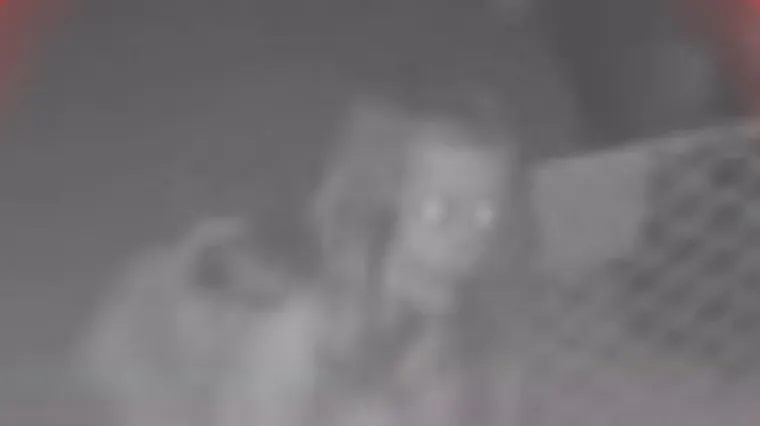 Sledio se kada je ugledao demonoliko stvorenje u sobi kćeri, strah za dijete natjerao ga je na radikalan potez