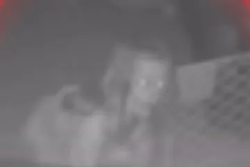 Sledio se kada je ugledao demonoliko stvorenje u sobi kćeri, strah za dijete natjerao ga je na radikalan potez