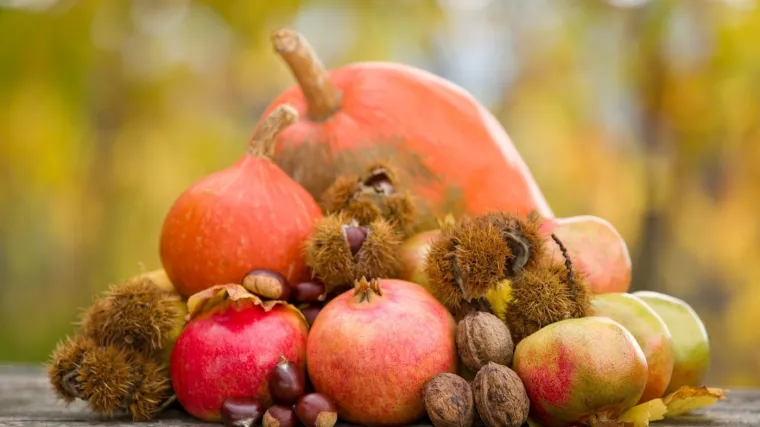 [KVIZ] Kakvo je tvoje znanje o jesenskim plodovima?