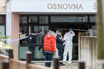 Počinje suđenje za masakr u osnovnoj školi u Prečkom: Ubio dijete, ranio učiteljicu i troje učenika