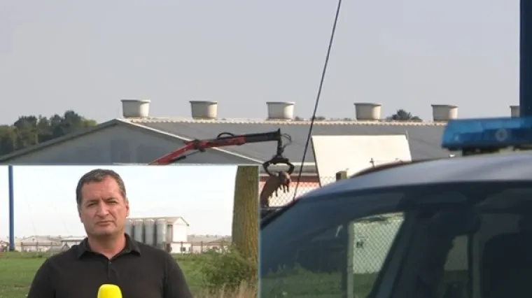 Nitko ne zna kako je došlo do proboja virusa svinjske kuge na farmu u Sokolovcu