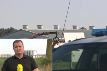 Nitko ne zna kako je došlo do proboja virusa svinjske kuge na farmu u Sokolovcu