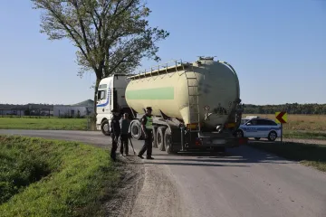 Vodi li se afričkom svinjskom kugom specijalni rat protiv Hrvatske?