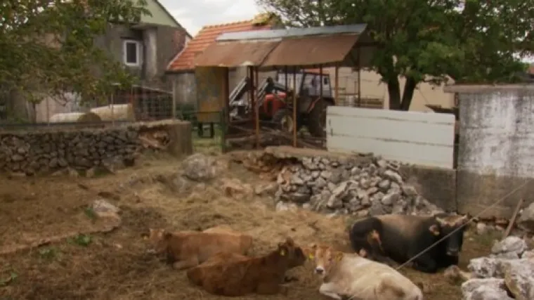 Bili smo u jednom od rijetkih mjesta u Hrvatskoj u kojoj se više rađa nego umire