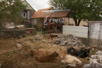 Bili smo u jednom od rijetkih mjesta u Hrvatskoj u kojoj se više rađa nego umire