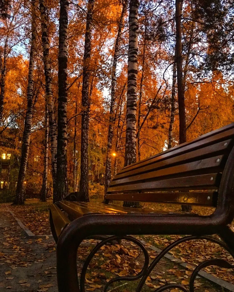 Ako ste jedan od ovih znakova, čuvajte se listopada: Zlo će se na vas lijepiti poput magneta
