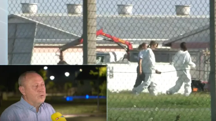 Nova žarišta afričke svinjske kuge u Baranji: Doznajemo koliko je situacija ozbiljna