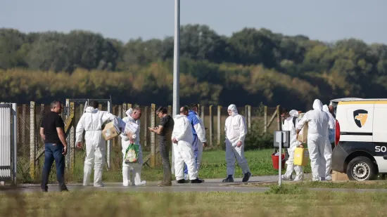 Ovo su najveći rizici kod širenja afričke svinjske kuge: 'Svaka greška je iznimno skupa'
