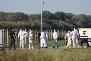 Ovo su najveći rizici kod širenja afričke svinjske kuge: 'Svaka greška je iznimno skupa'