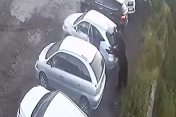 Milisekunde ga dijelile od smrti: Pogledajte kako je pobjegao medvjedu koji je rastrgao ženu