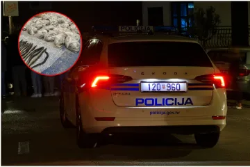 Jeste li čuli kad za staklene jegulje? Vrijede milijarde eura! Pogledajte 'ulov' policije i Europola