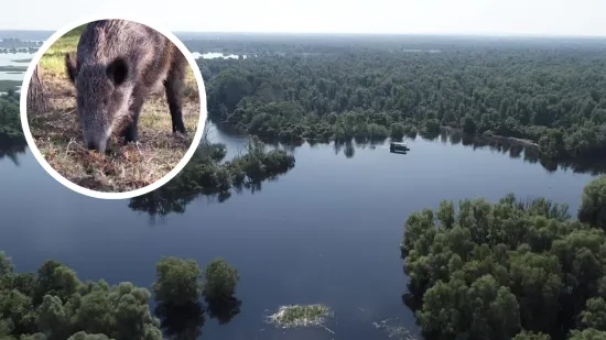 Bolest se nezaustavljivo širi, ovo mjesto je moguće žarište: 'Bojim se da ima puno uginulih'