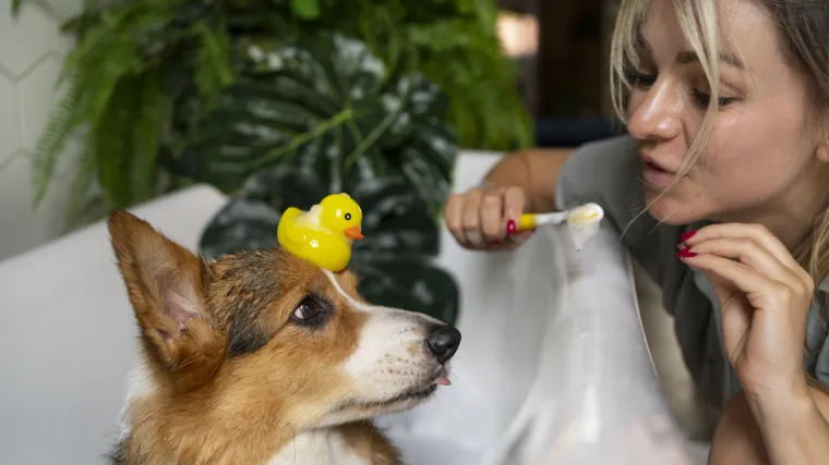 Mrzi li vaš ljubimac četkicu za zube? Ovo su najbolje alternative za oralnu higijenu