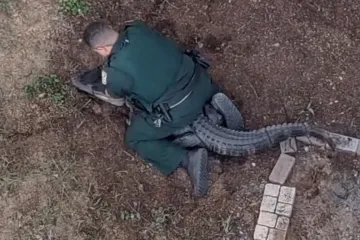 Nevjerojatno: Golim rukama se bacio na opasnog reptila i bacio ga na stražnje sjedalo auta