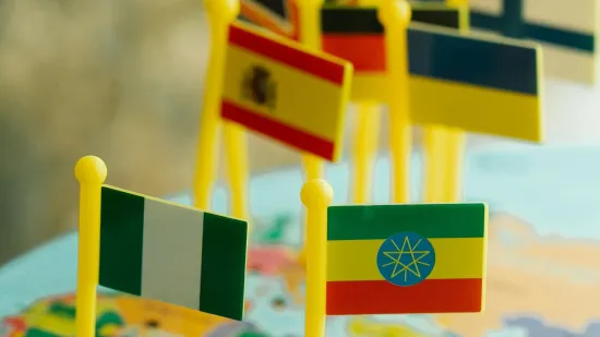 Samo će pravi genijalci prepoznati sve zastave država svijeta, jesi li među njima?